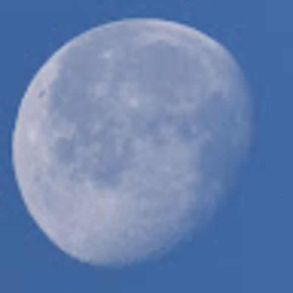 peter_sp1